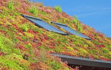 Gramasdail living roof systems
